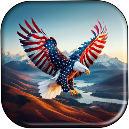 250109 - Stars Stripes Eagle