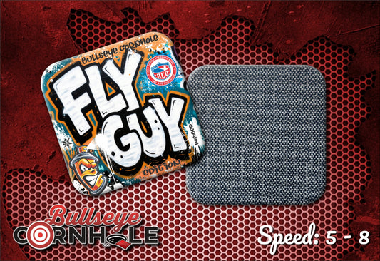Fly Guy Graffiti