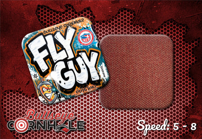 Fly Guy Graffiti