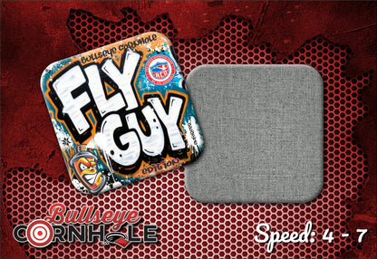 Fly Guy Graffiti