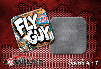 Fly Guy Graffiti