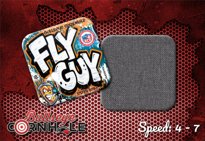 Fly Guy Graffiti