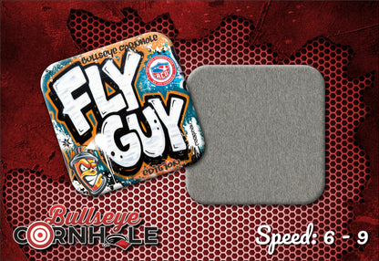 Fly Guy Graffiti