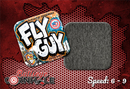 Fly Guy Graffiti