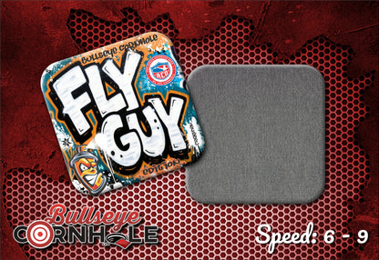 Fly Guy Graffiti